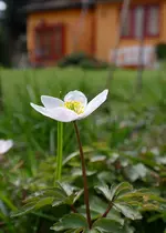 15.webp