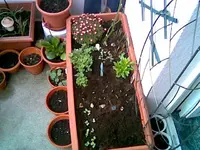 Balkon 2 2009.webp