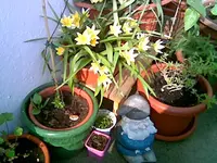 Balkon 2.webp