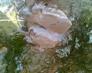 Bild022.webp