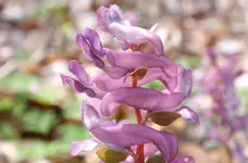 16.webp