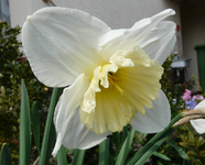P1030437.webp