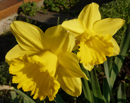 P1030442.webp