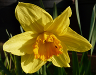 P1030443.webp
