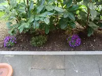 DSC00921.JPG