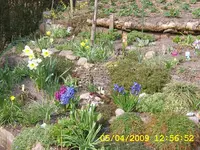 SA500311.webp