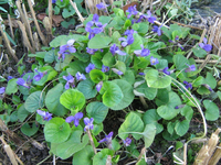 IMG_1439.webp