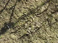 Bild 019.webp