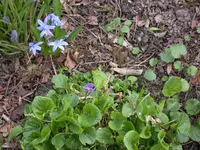 DSCN5707.webp