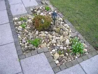 DSCN4192.webp