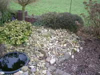 DSCN4196.webp