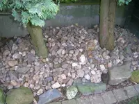 DSCN4199.webp