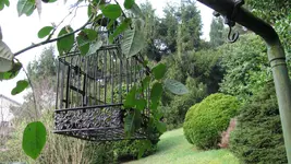 002.webp