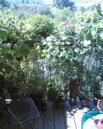 Bild000.webp