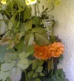Bild000_1.webp