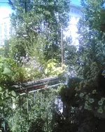 Bild002.webp