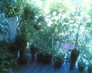 Bild003.webp