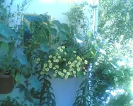Bild004.webp