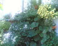 Bild005.webp