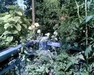 Bild008.webp