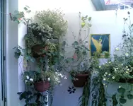 Bild009.webp