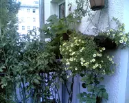 Bild010.webp