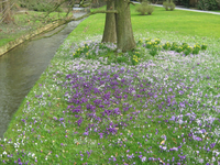 IMG_1048.webp