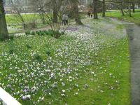IMG_1049.webp
