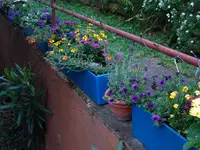 001.webp