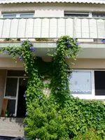 PICT0023.webp