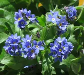 IMG_0691_klein.webp