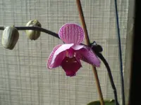 DSC00028-1.webp