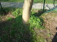 CIMG3322_Bildgröße ändern.webp