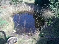 Bild027_klein.webp