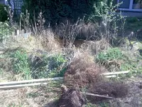 Bild028_klein.webp