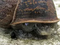 Copy of IMG_2920v (1).webp