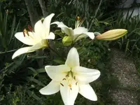 BILD1649.webp