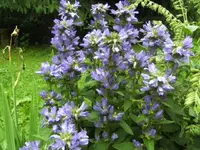 BILD1632.webp