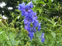 BILD1633.webp