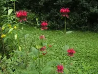 BILD1636.webp