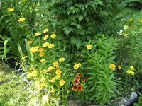 BILD1596.webp