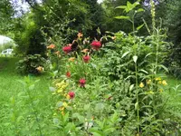BILD1637.webp