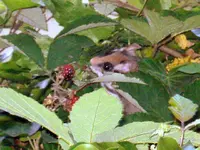 DSC00606.webp