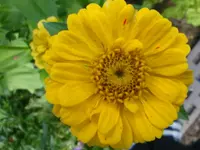 DSC09911.webp