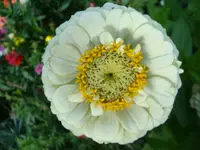 DSC09912.webp
