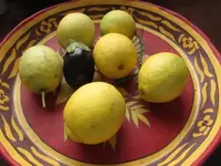 045.webp