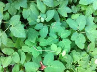 IMG_1925[1].webp