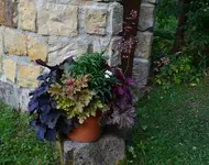 Blumen1.webp