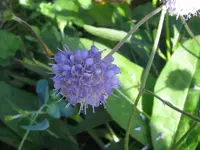 IMG_wer_1024x768.webp