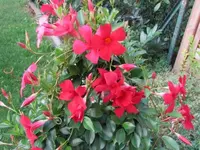 001.webp